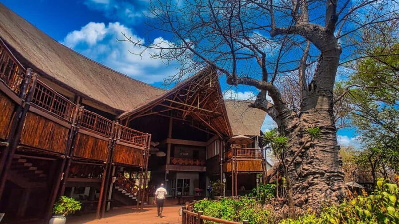 Victoria Falls: Chobe and Quadripoint Day Trip with Lunch - Final Thoughts