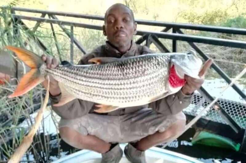 Victoria Falls: Chobe River Tiger Fishing Safari with Lunch - What to Expect on Your Chobe River Fishing Safari