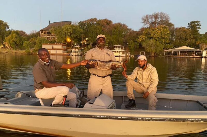 Victoria Falls: Chobe River Tiger Fishing Safari with Lunch - The Sum Up