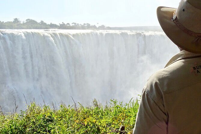 Victoria Falls Cross Border Guided Tour Zambia & Zimbabwe - The Authentic Experience: What Reviewers Say