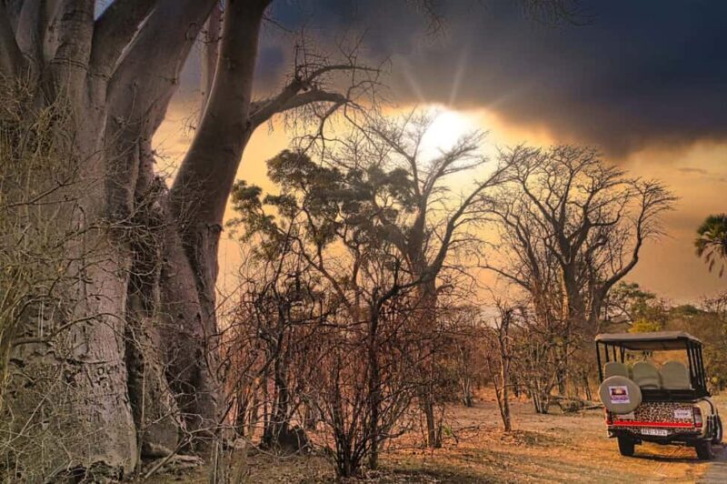 Victoria Falls: Dry Safari Game drive in National Park - Key Points