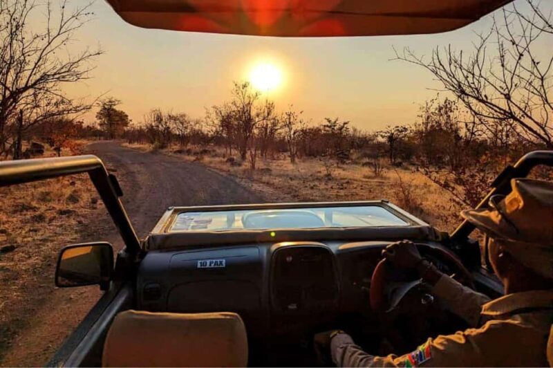 Victoria Falls: Dry Safari Game drive in National Park - A Detailed Look at the Experience