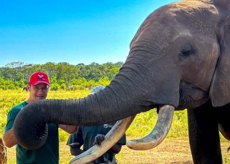 Victoria Falls: Elecrew Through The Eyes Of An Elephant - Victoria Falls: Elecrew Through The Eyes Of An Elephant – A Complete Review