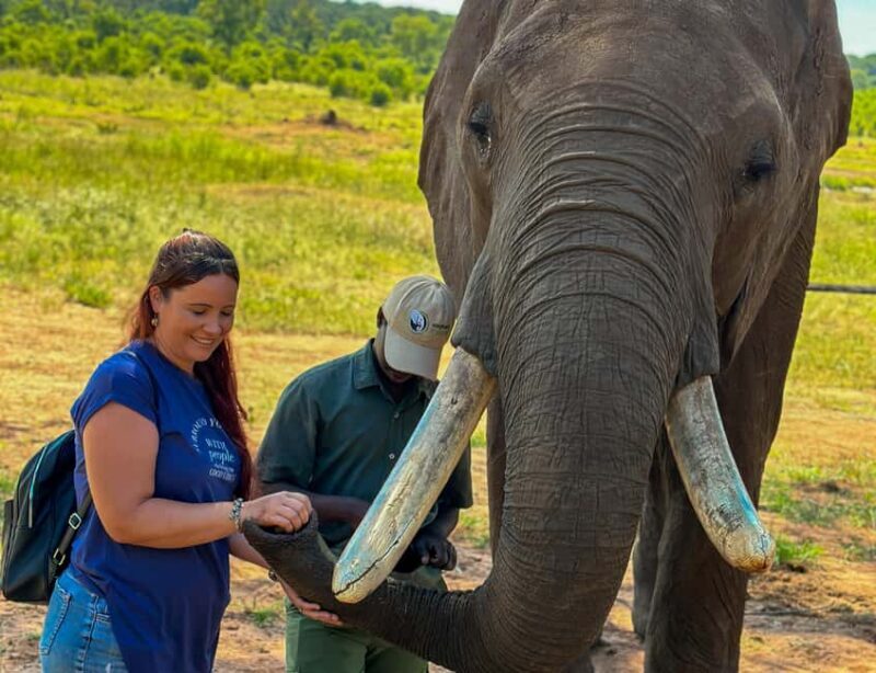 Victoria Falls: Elecrew Through The Eyes Of An Elephant - FAQs