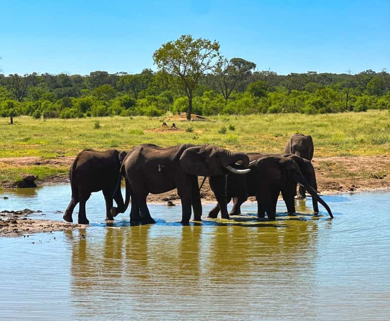 Victoria Falls: Elecrew Through The Eyes Of An Elephant - Final Thoughts