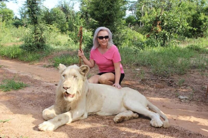 Victoria Falls: Elephant, Lion, and Cheetah Encounter - An In-Depth Look at the Experience
