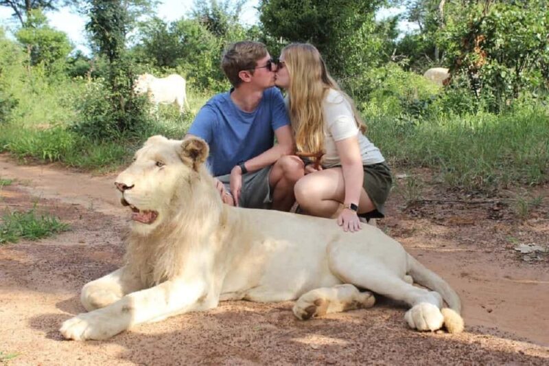 Victoria Falls: Elephant, Lion, and Cheetah Encounter - Final Thoughts