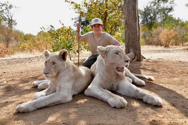 Victoria Falls: Elephant, Lion, and Cheetah Encounter - FAQ