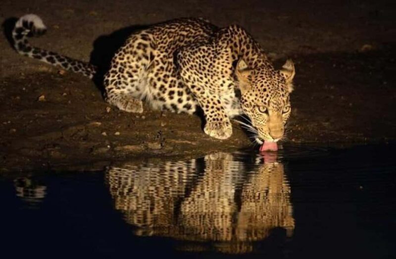 Victoria Falls Full Day Game Drive - Key Points