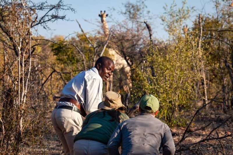 Victoria Falls: Game Walk in the Zambezi National Park - A Closer Look at the Experience