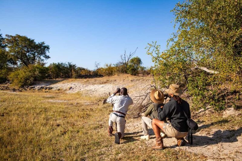 Victoria Falls: Game Walk in the Zambezi National Park - Who Will Love This Tour?