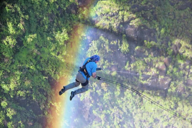 Victoria Falls: Gorge Swing Experience - Key Points
