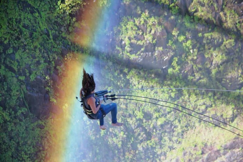 Victoria Falls: Gorge Swing Experience - An Exciting Way to View Batoka Gorge and Victoria Falls Bridge