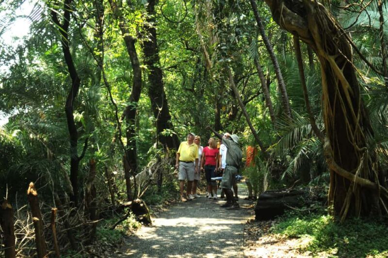 Victoria Falls: Guided Tour - What Makes This Tour Stand Out?