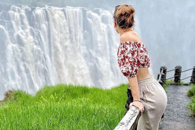 Victoria Falls Guided Tour (All Inclusive) - The Experience in Detail