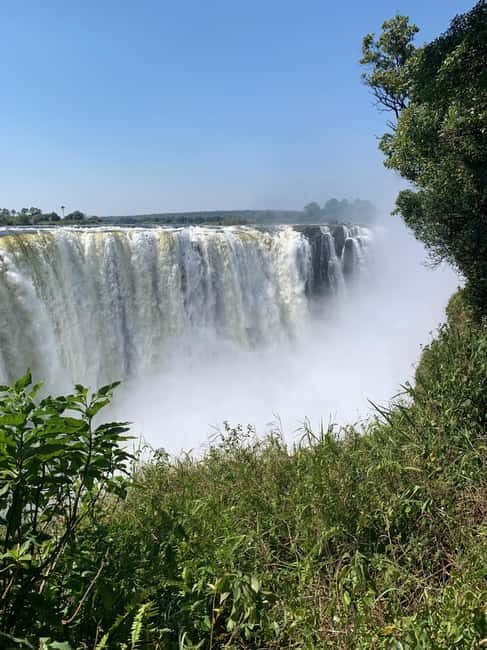 Victoria Falls: Guided Tour Of The Falls Rainforest - What Makes This Tour Stand Out?