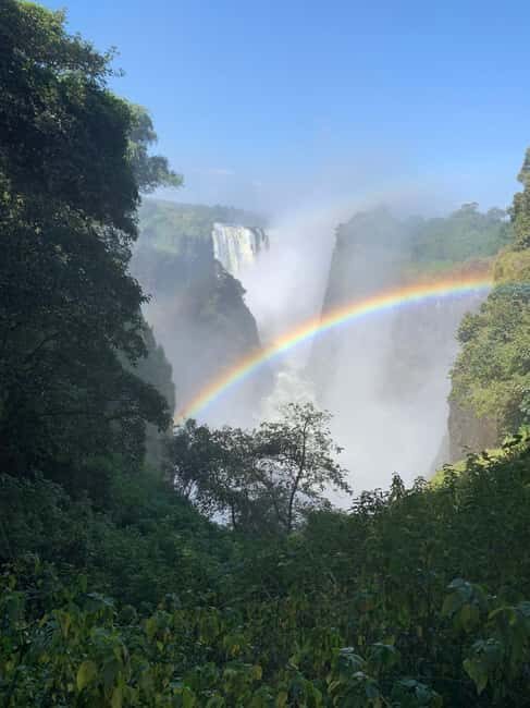 Victoria Falls: Guided Tour Of The Falls Rainforest - Final Thoughts: Is It Worth It?