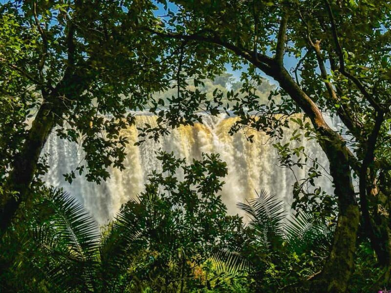 Victoria Falls: Guided Tour of the Victoria Falls - Key Points