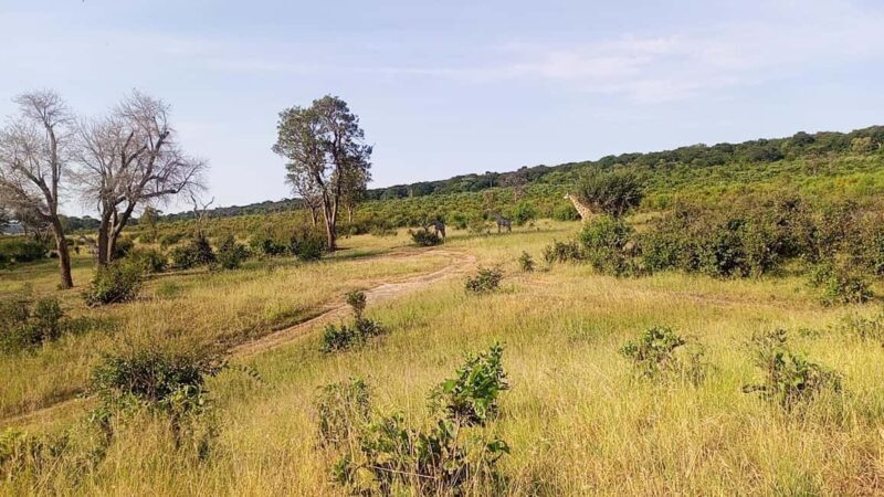 Victoria Falls: Guided Tours and Transfers - Authentic Insights from Reviewers