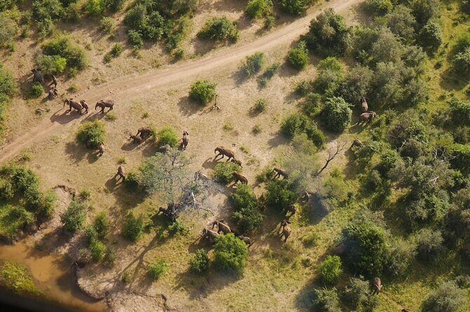 Victoria Falls Helicopter Tour - Pricing and Value