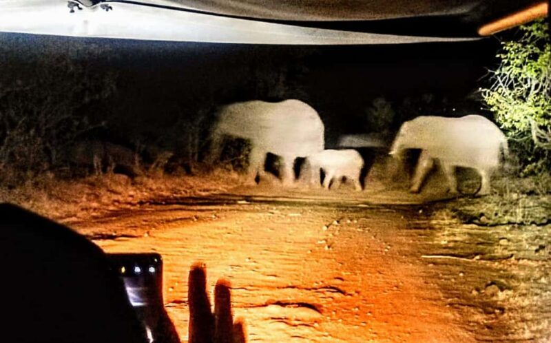 Victoria Falls Night Activity: Stargazing Safari - An Overview of the Victoria Falls Stargazing Safari