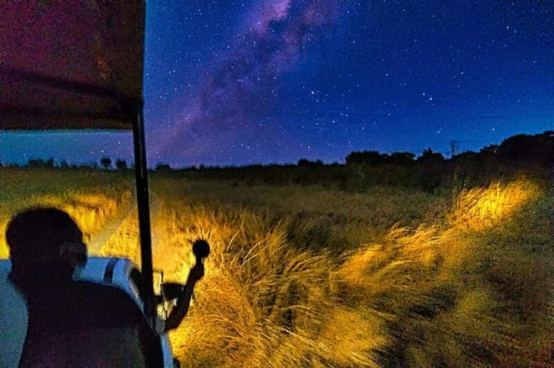 Victoria Falls Night Activity: Stargazing Safari - Why This Tour Is Something You Should Consider