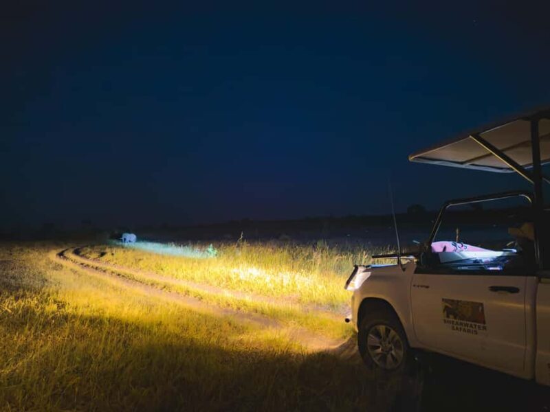 Victoria Falls: Night Game Drive Zambezi National Park - Key Points