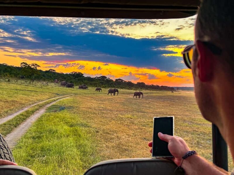 Victoria Falls: Night Game Drive Zambezi National Park - Authentic Insights from Other Travelers