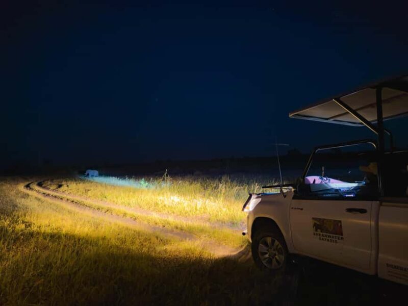 Victoria Falls: Night Game Drive Zambezi National Park - The Value of the Experience