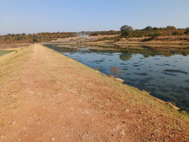 Victoria Falls: Private Birdwatching Safari near the town - A Closer Look at the Tour Experience