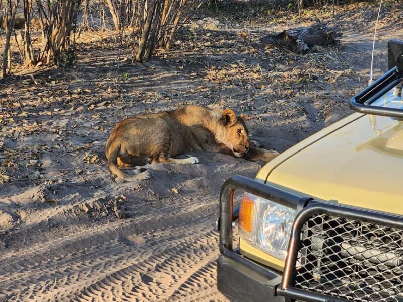 Victoria Falls: Quadripoint and Chobe Day Trip with Lunch - Practical Considerations and Tips