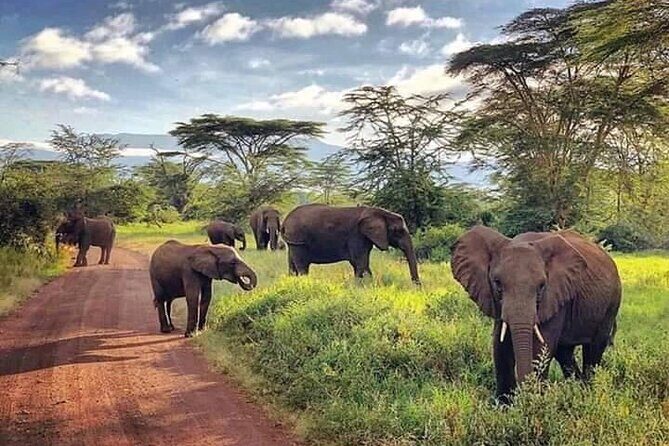 Victoria Falls & Safari Adventure: Both Sides Tour + Rhino Walk - Authentic Insights from Travelers