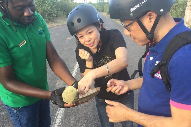 Victoria Falls Segway Tour - Final Thoughts: Who Will Love This Tour?