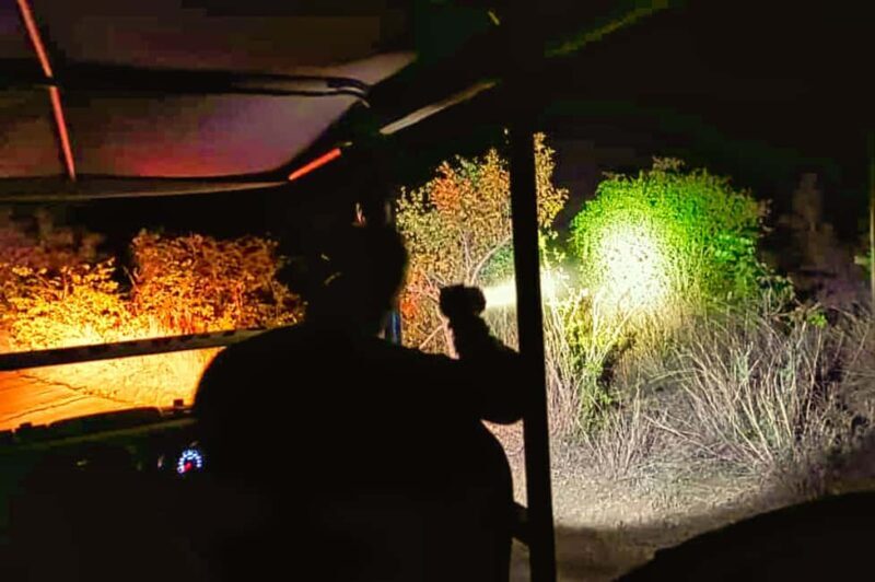 Victoria Falls: Stargazing Safari - Authentic Insights from Travelers