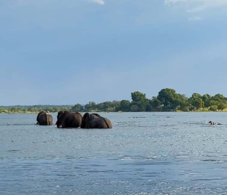 Victoria Falls: Sunset Cruise on the Zambezi River - Final Thoughts