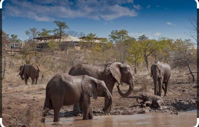 Victoria Falls: Through the eye of an elephant - Key Points