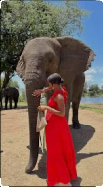 Victoria Falls: Through the eye of an elephant - An In-Depth Look at the Experience