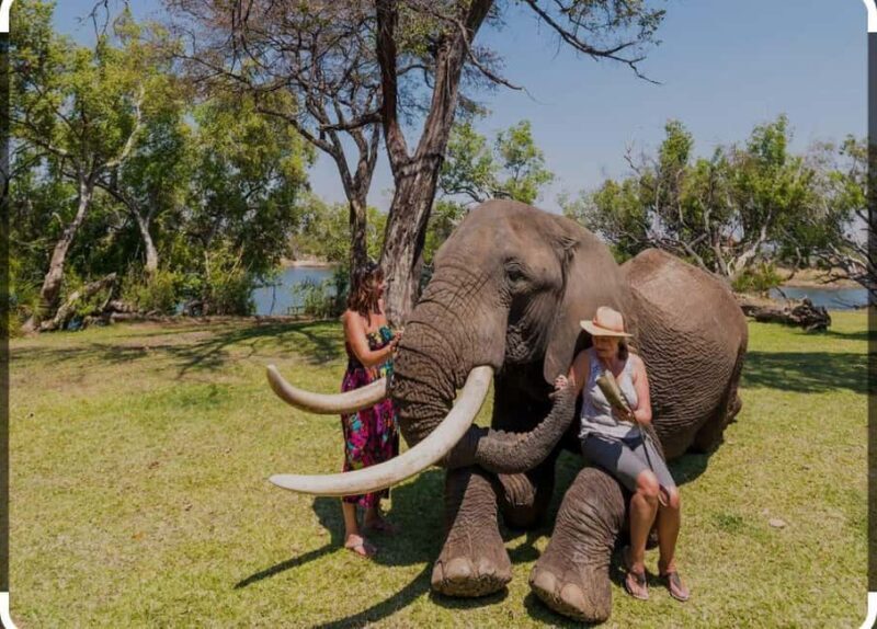 Victoria Falls: Through the eye of an elephant - FAQ