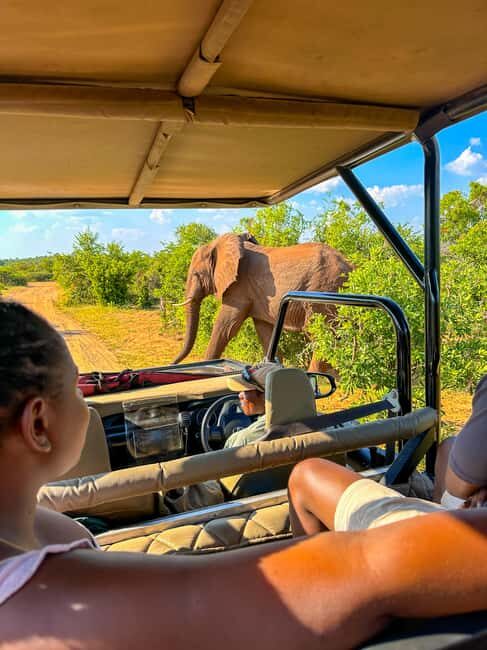 Victoria Falls: Zambezi National Park Game Drive - Authenticity and Value