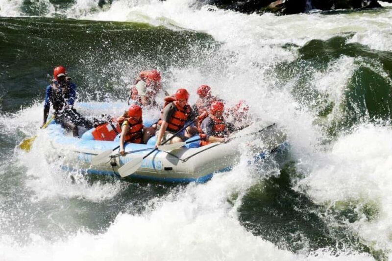 Victoria Falls: Zambezi River White Water Rafting - Key Points