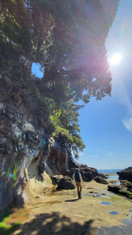 victoria-old-growth-rainforest-canyon-waterfall-and-beaches