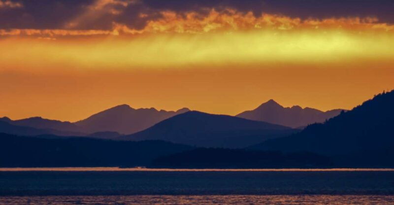 victoria-sunset-whale-watching-tour-on-semi-covered-boat-2