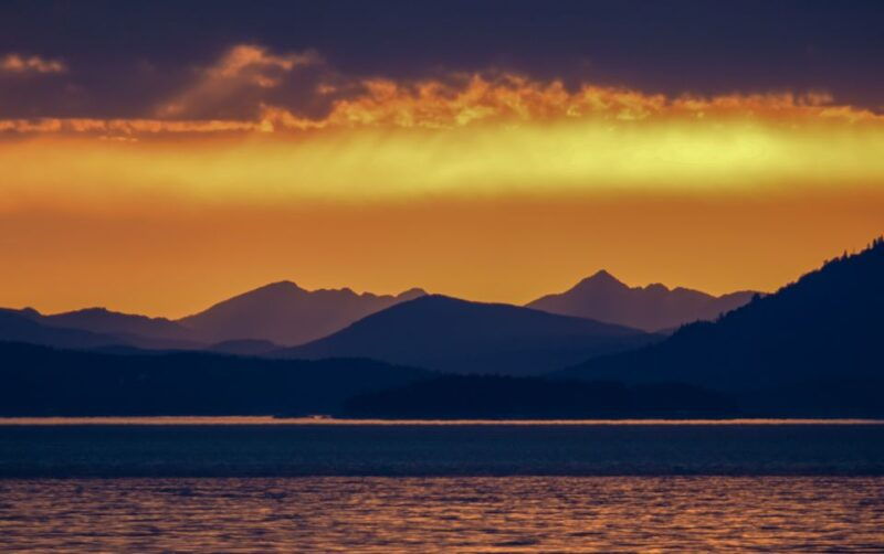 victoria-sunset-whale-watching-tour-on-semi-covered-boat-2