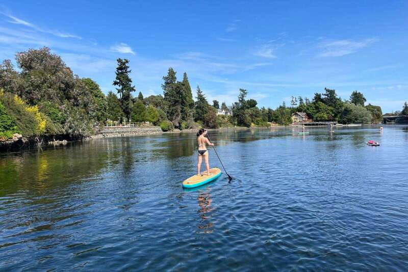 victoria-upper-gorge-waterway-paddle-boarding-tour