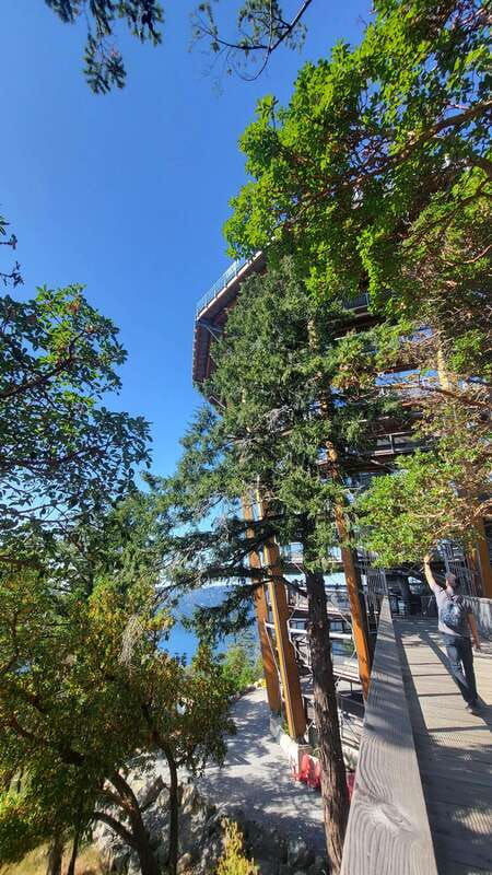 victoria-waterfall-skywalk-trestle-castle-and-whales