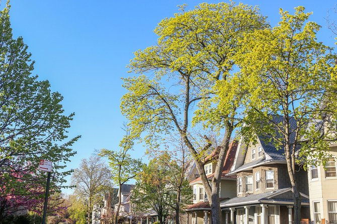 victorian-flatbush-brooklyn-private-tour