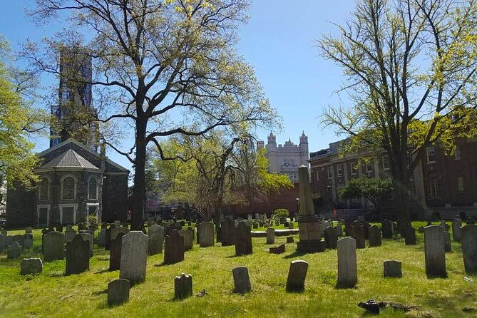 victorian-flatbush-brooklyn-private-tour