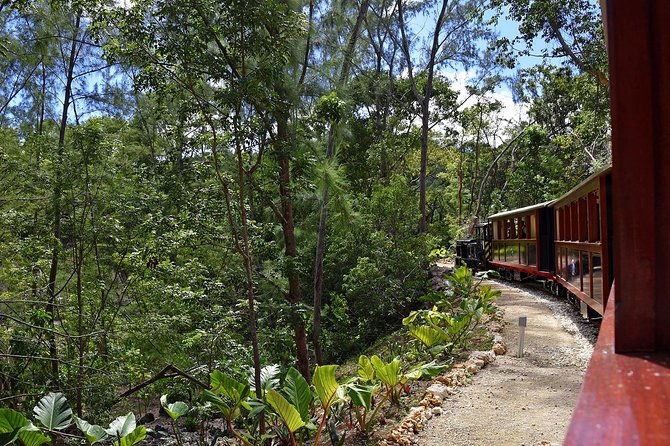 victorian-steam-railway-to-cherry-tree-hill-great-house-option