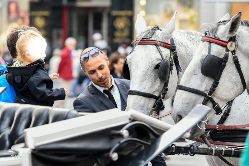 vienna-30-minute-fiaker-ride-in-the-old-town