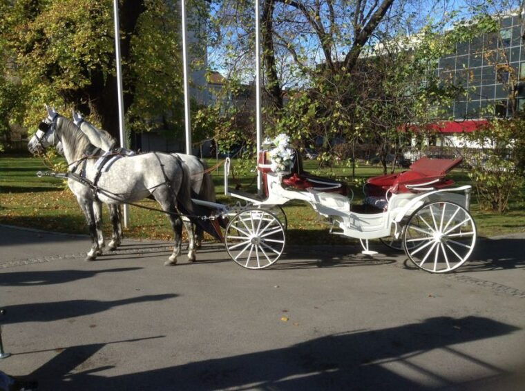 vienna-30-minute-fiaker-ride-in-the-old-town